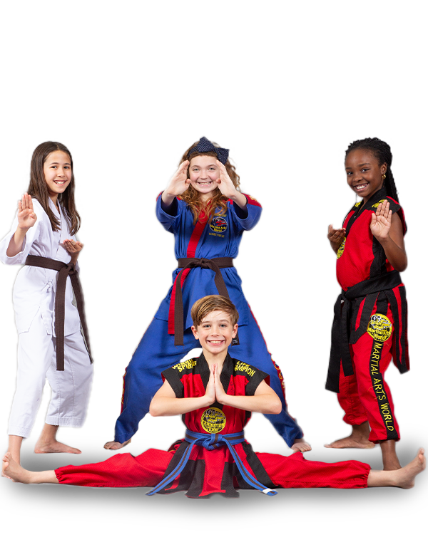 After School Martial Arts Program Henrico