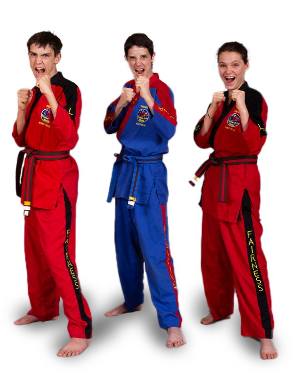 Adult Martial Arts Classes Henrico
