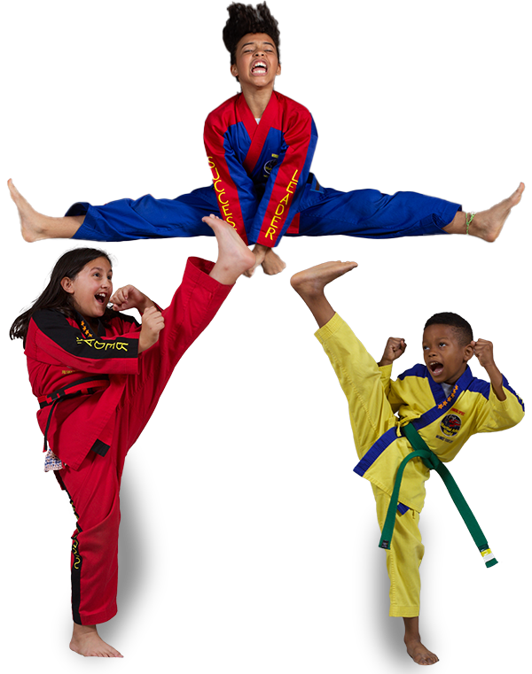 Martial Arts Classes for kids in Henrico
